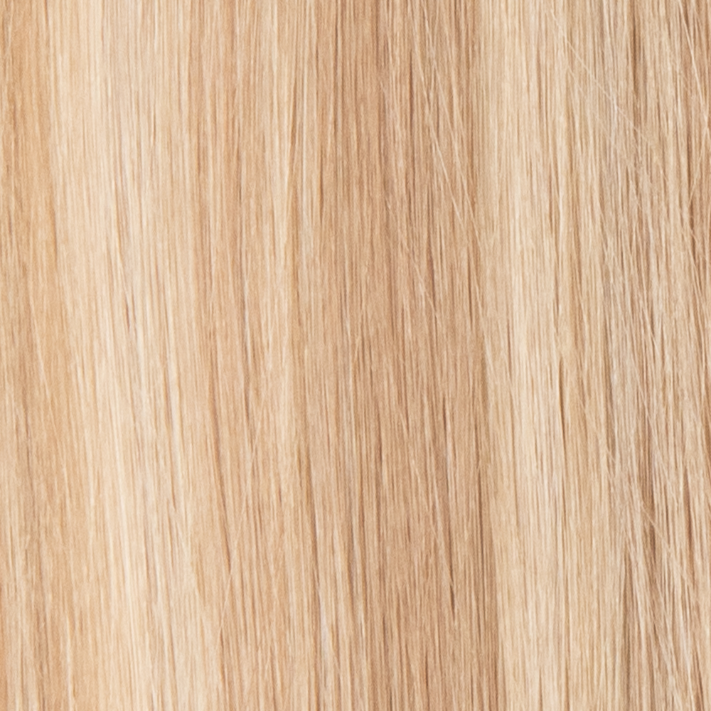 Crème Brûlée close-up